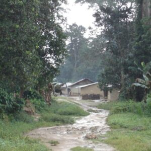 bu koyde bes parasiz gezen ertesi gun milyoner oluyor kapilarinin onunde buluyorlar CrySa7IA