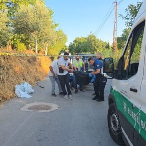 bursada sir olum UDclfdX1