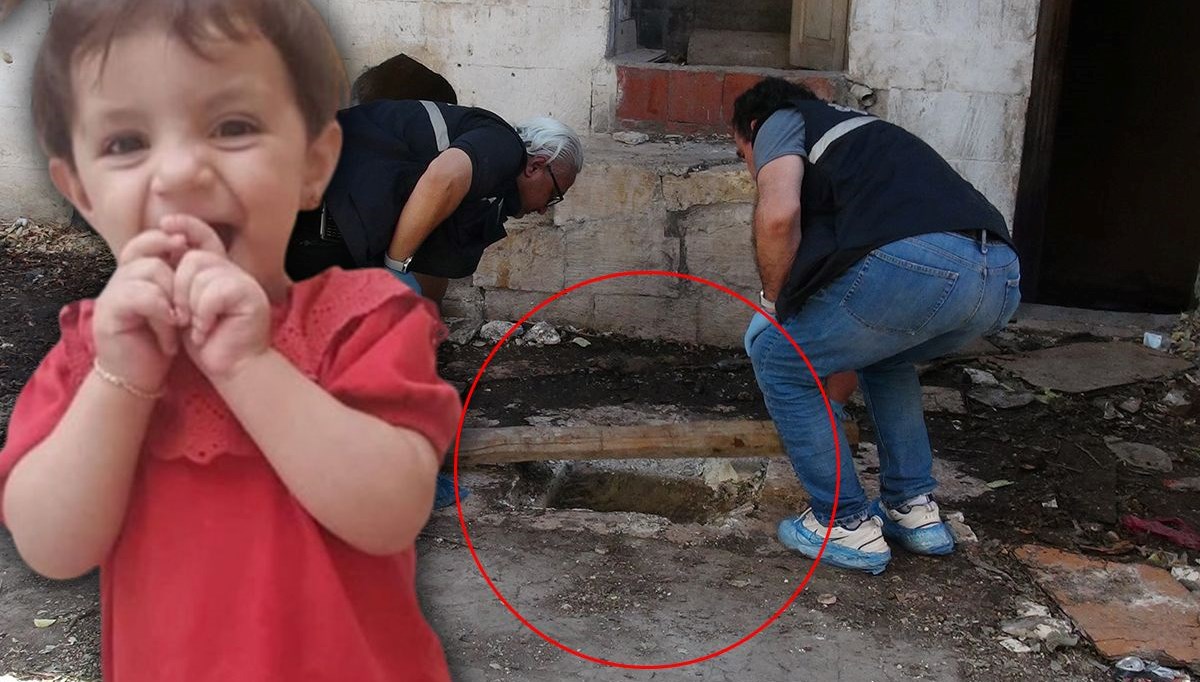 cesedi kuyuda bulunan arici kim oldurdu qOLS6mtJ