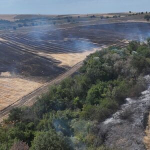 edirnede anizda baslayan yangin ormanlik alana sicradi Ecsad92k