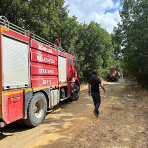 igneadada orman yangini kontrol altina alindi gGSJHCDc