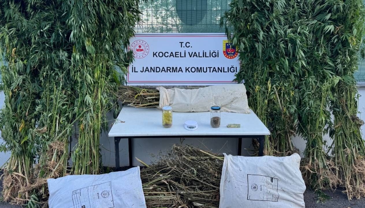 kocaelide operasyon 12 kilo 73 gram esrar ele gecirildi VTU4NepL