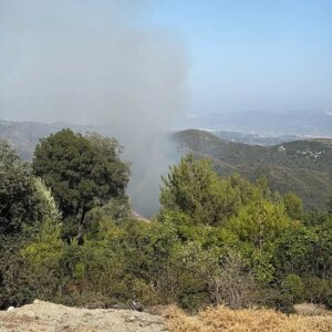 samandagda orman yangini sonduruldu ZqZQaViI