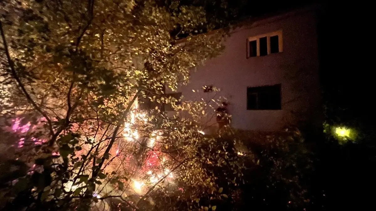 fekede yangin dumandan etkilenme vakasi 1kP4Kp7j