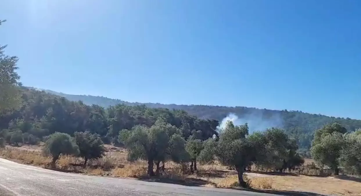 milasta orman yangini 2 gune girdi KQVEyZDs