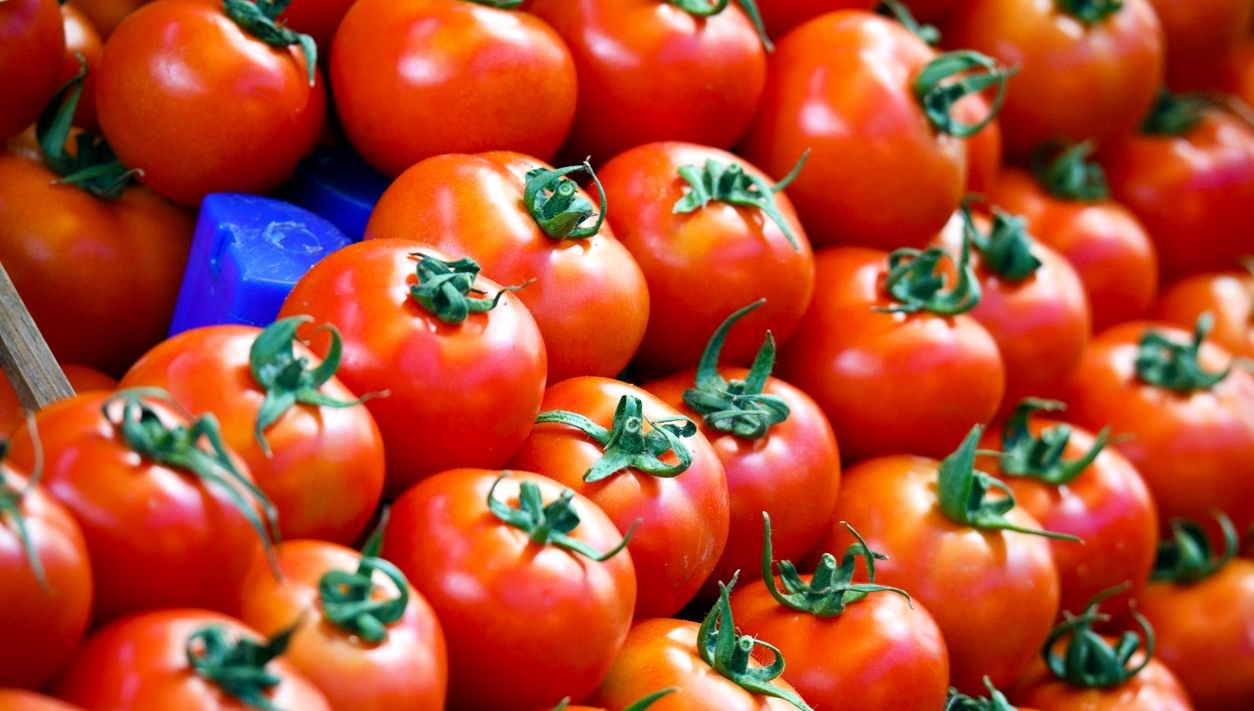 salmonella salgininin kaynagi ceri domatesler mi 2Ii8JGnW