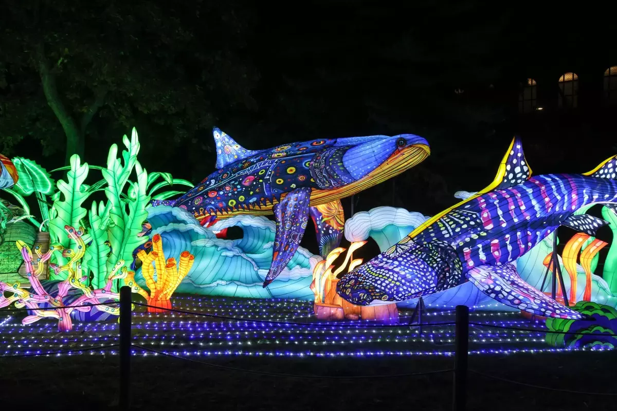 budapestede renkli fener festivali 4CKGzOUq.jpg