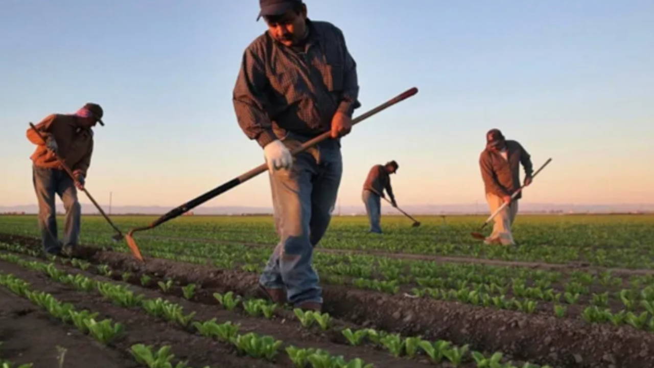 chpli durmazdan iktidarin tarim politikalarina elestiri uretici artik krediyi takla bile attiramiyor ihOEvfUS.jpg