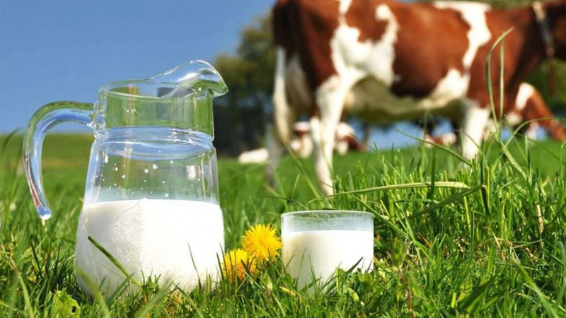 inekler kesime gidiyor uretim daraliyor sute zam mi gelecek JqupLQlE.jpg