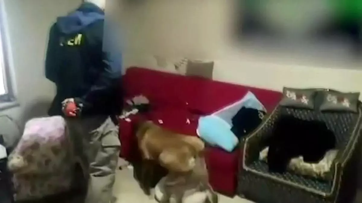 sakarya ve kocaelide uyusturucu operasyonu 14 supheli yakalandi c2Q7jmVi