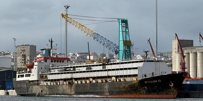 tahliye edilemeyen ithal hayvan gemisi krizi sehir kotu kokuya teslim oldu Pxn6Y2vE.jpg