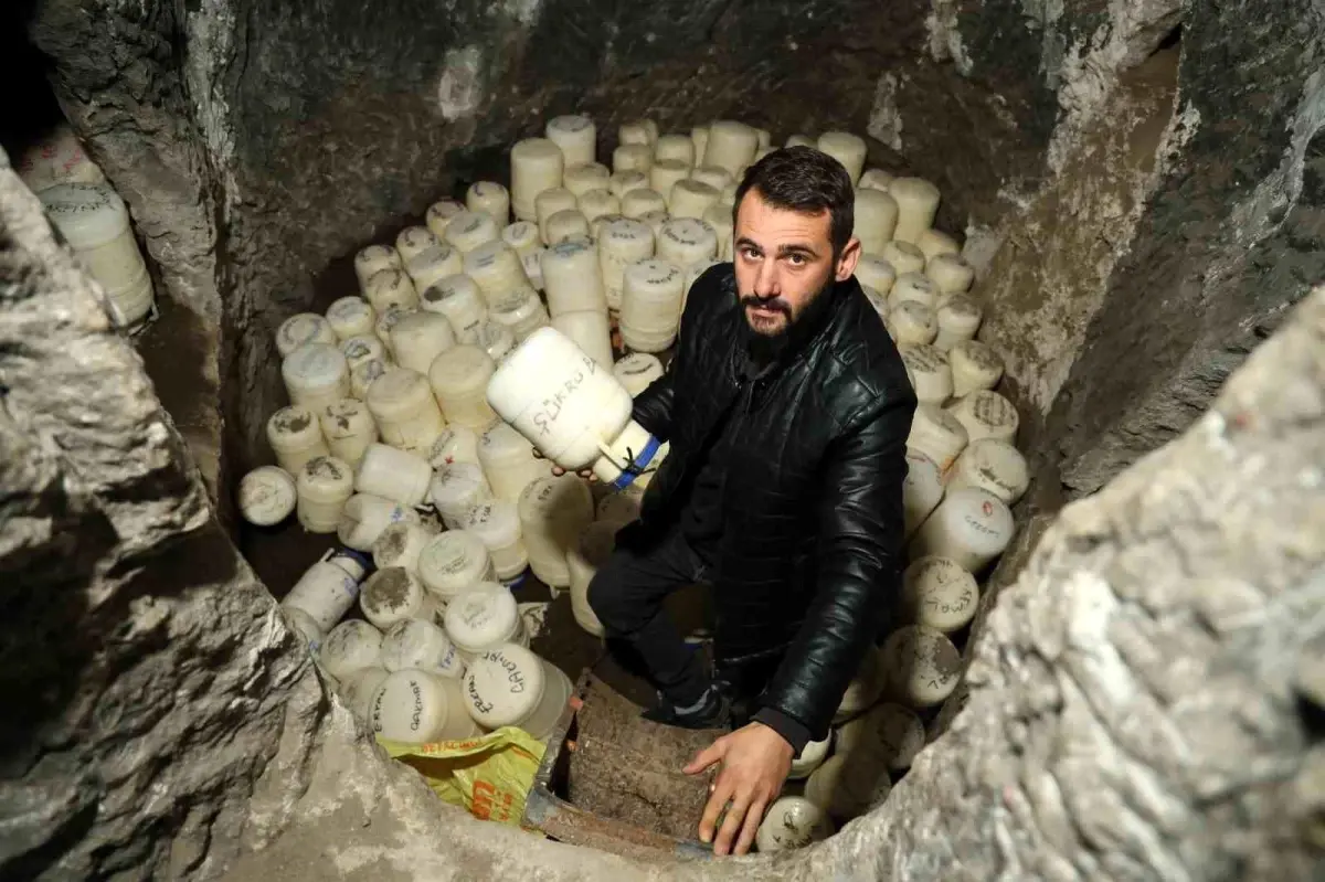 zarada dogal peynir oteli sWJYt8N8.jpg