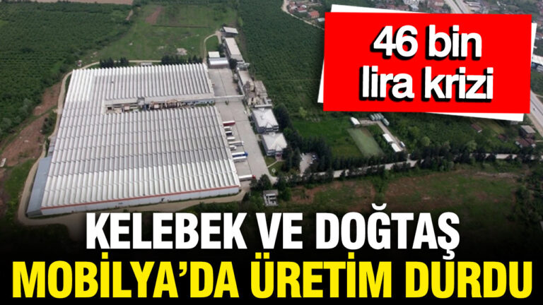 kelebek-mobilya-ve-dogtas-mobilyada-uretim-durdu-46-bin-lira-krizi-4eFWnD1s