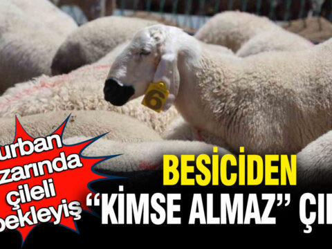 Kurban Pazarında Zorlu Günler: Besiciler Yükselen Maliyetlerden Şikayetçi